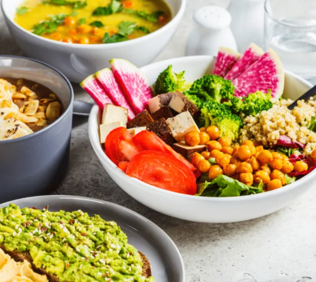 Vegan Veg Diets e1643991651270